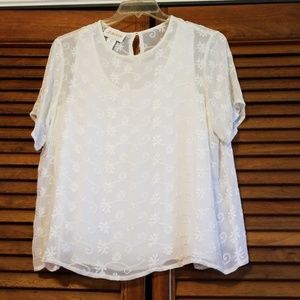 Delicate Lace Blouse. Size XL